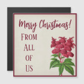 アンティークヴィンテージクリスマスレッドスピレアパルマタ (正面/裏面)