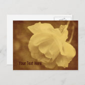 アンティークヴィンテージバラ花カスタマイズ可能はがき ポストカード (正面/裏面)