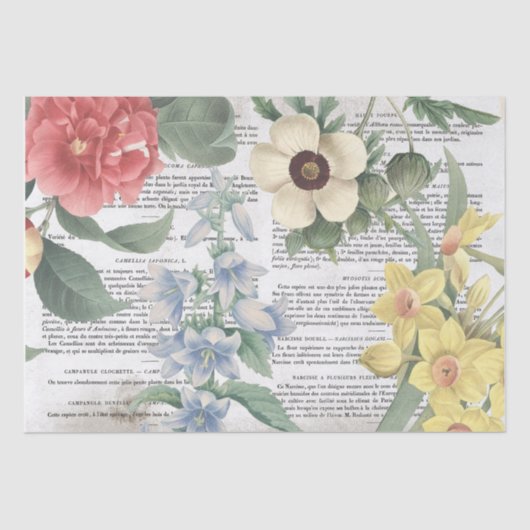 アンティークヴィンテージフラワーズブックページフランスのの切り離し 薄葉紙 (正面)