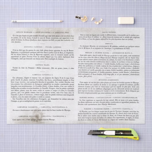 アンティークヴィンテージフランスのブックページの切り離し 薄葉紙 (クラフト)