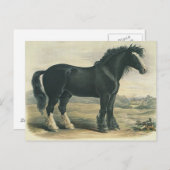 アンティークヴィンテージブラックシャー荷車を引くホース葉書 ポストカード (正面/裏面)