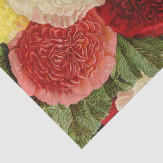 アンティークヴィンテージレッドホワイトピンクイエローローズ 薄葉紙 (詳細)