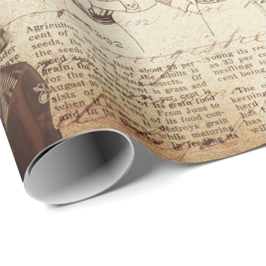 アンティークヴィンテージレディーガールファッション ラッピングペーパー (ロールコーナー)