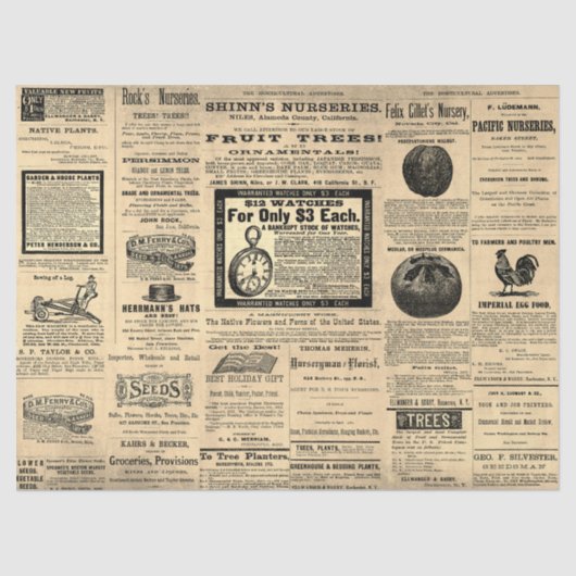 アンティークヴィンテージ園芸用アッドエフエメラセピア 薄葉紙 (正面)