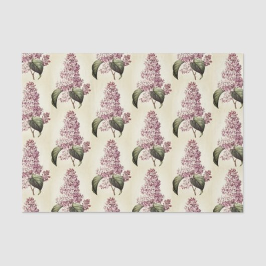 アンティークヴィンテージ植物紫薄紫花 薄葉紙 (正面)