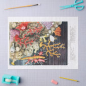 アンティークヴィンテージ海サンゴ 薄葉紙 (クラフト)