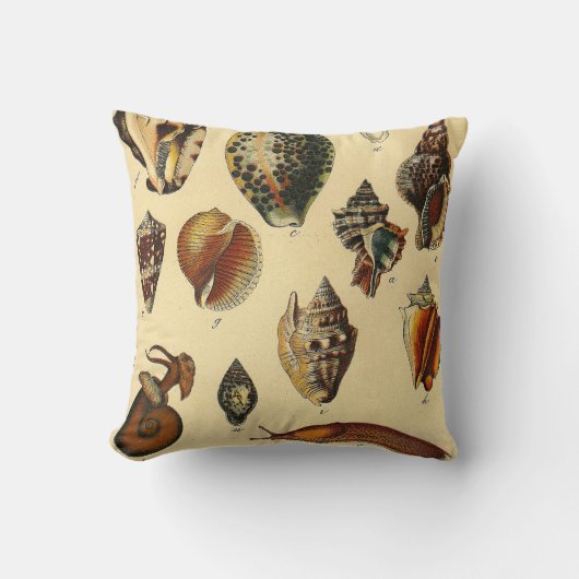 アンティークヴィンテージ貝貝海海枕 クッション (正面)