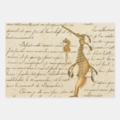 アンティークヴィンテージ 航海の ラッピングペーパーシート (正面2)