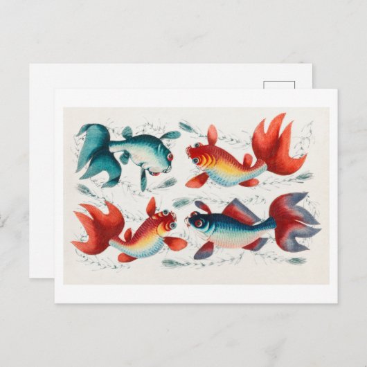 アンティーク中国の絵を描の金魚 ポストカード (正面/裏面)