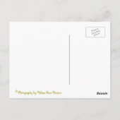 アンティーク二面 ポストカード (裏面)