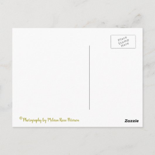 アンティーク二面 ポストカード (裏面)