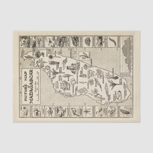 アンティーク写真マップマダガスカルアイランドクラフト 薄葉紙 (正面)