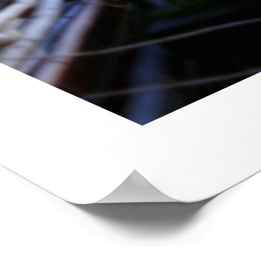 アンティーク列の写真 ポスター (角)