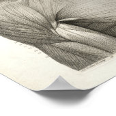 アンティーク医療解剖学プリント筋肉ヘッドネック ポスター (角)