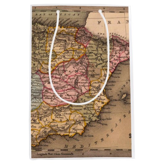 アンティーク古いインスパイア地図(5) ミディアムペーパーバッグ (正面)