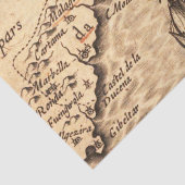 アンティーク古インスパイアい地図(3) 薄葉紙 (詳細)