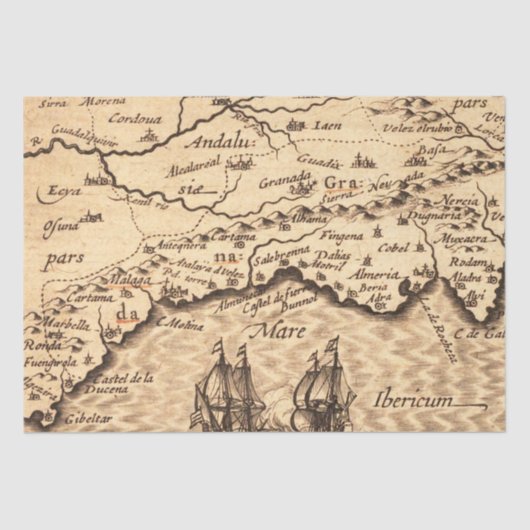 アンティーク古インスパイアい地図(3) 薄葉紙 (正面)