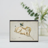 アンティーク天文学図天文学図天文学〔占星術の〕十二宮図 ポストカード (スタンド正面)