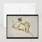 アンティーク天文学図天文学図天文学〔占星術の〕十二宮図 ポストカード (正面/裏面)