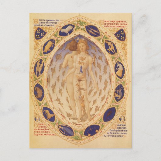 アンティーク天〔占星術の〕十二宮図図、ヴィンテージ天文学 ポストカード (正面)