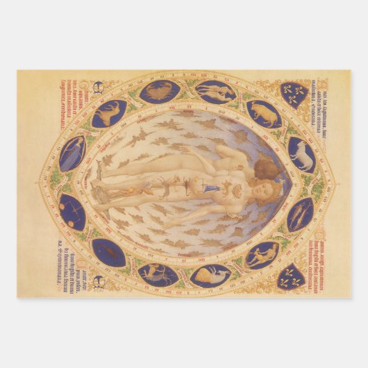 アンティーク天〔占星術の〕十二宮図図、ヴィンテージ天文学 ラッピングペーパーシート (正面)