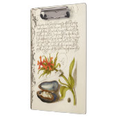 アンティーク書文字植物イラストレーション クリップボード (左)