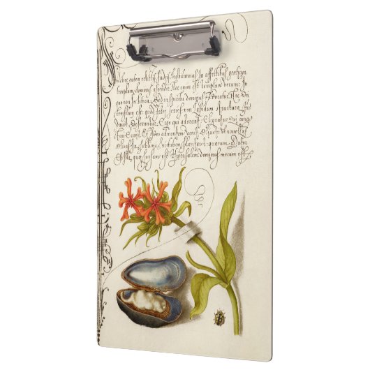 アンティーク書文字植物イラストレーション クリップボード (左)