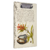 アンティーク書文字植物イラストレーション クリップボード (右)