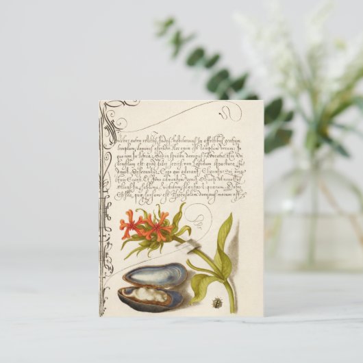 アンティーク書道文字植物性イラストレーションポー ポストカード (スタンド正面)