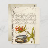 アンティーク書道文字植物性イラストレーションポー ポストカード (正面/裏面)