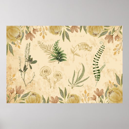 アンティーク植物及びフローラポスター ポスター (正面)