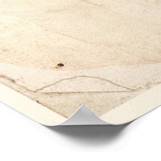 アンティーク植物学プリントポスター薄紫花 ポスター (角)