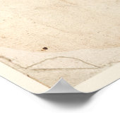 アンティーク植物性プリントポスターキク ポスター (角)