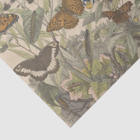 アンティーク植物性ヴィンテージバタフライデクページ 薄葉紙 (詳細)