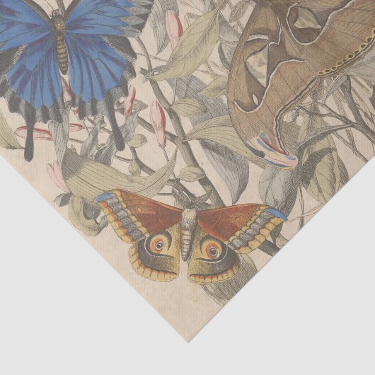 アンティーク植物性ヴィンテージモスバタフライデクページ 薄葉紙 (詳細)