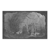 アンティーク水族館プリント海馬魚