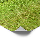 アンティーク消防車 ポスター (角)