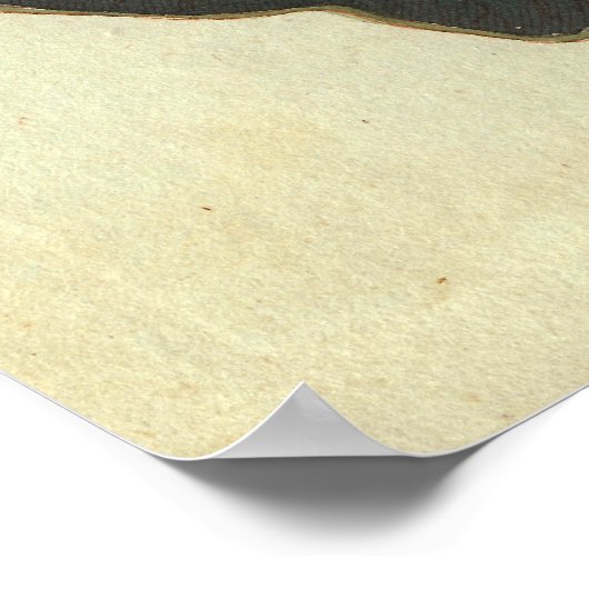 アンティーク版木、銅版、版画の水ゆり蓮の花 ポスター (角)