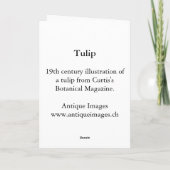 アンティーク版木、銅版、版画の赤いチューリップグリーティングカード カード (裏面)