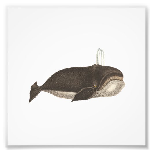 アンティーク版木、銅版、版画 フォトプリント            (正面)