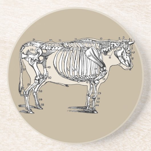 アンティーク牛骨格骨おもしろい コースター (正面)