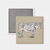 アンティーク牛骨格骨おもしろい マグネット (正面/裏面)