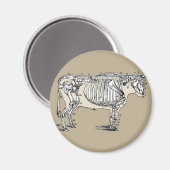 アンティーク牛骨格骨おもしろい マグネット (正面/裏面)