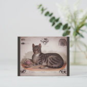 アンティーク猫図 シーズンポストカード (スタンド正面)