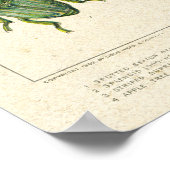 アンティーク甲虫の古い汚れた紙 ポスター (角)