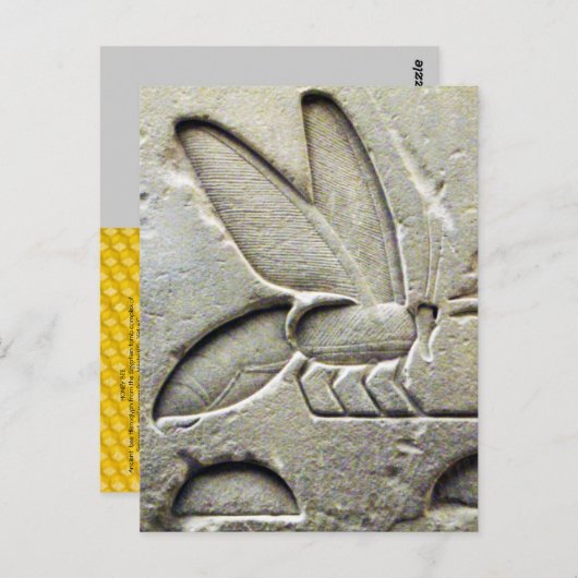 アンティーク白黒エジプトハニービーキーパー ポストカード (正面/裏面)