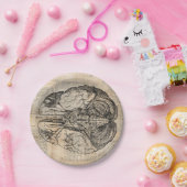 アンティーク脳図オールドファッションドアート ペーパープレート (パーティー)