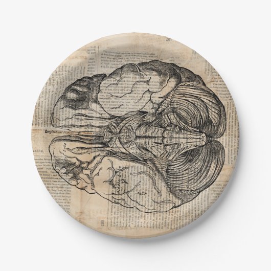 アンティーク脳図オールドファッションドアート ペーパープレート (正面)