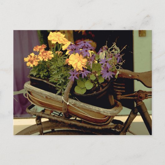 アンティーク自転車 ポストカード (正面)