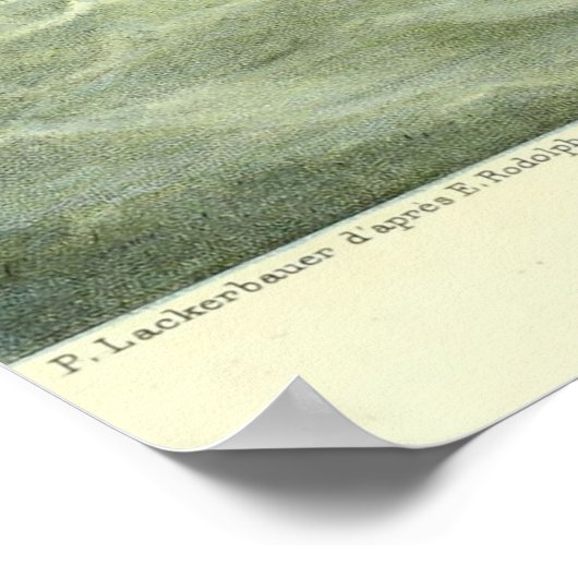 アンティーク船の巨大イカの捕獲 ポスター (角)